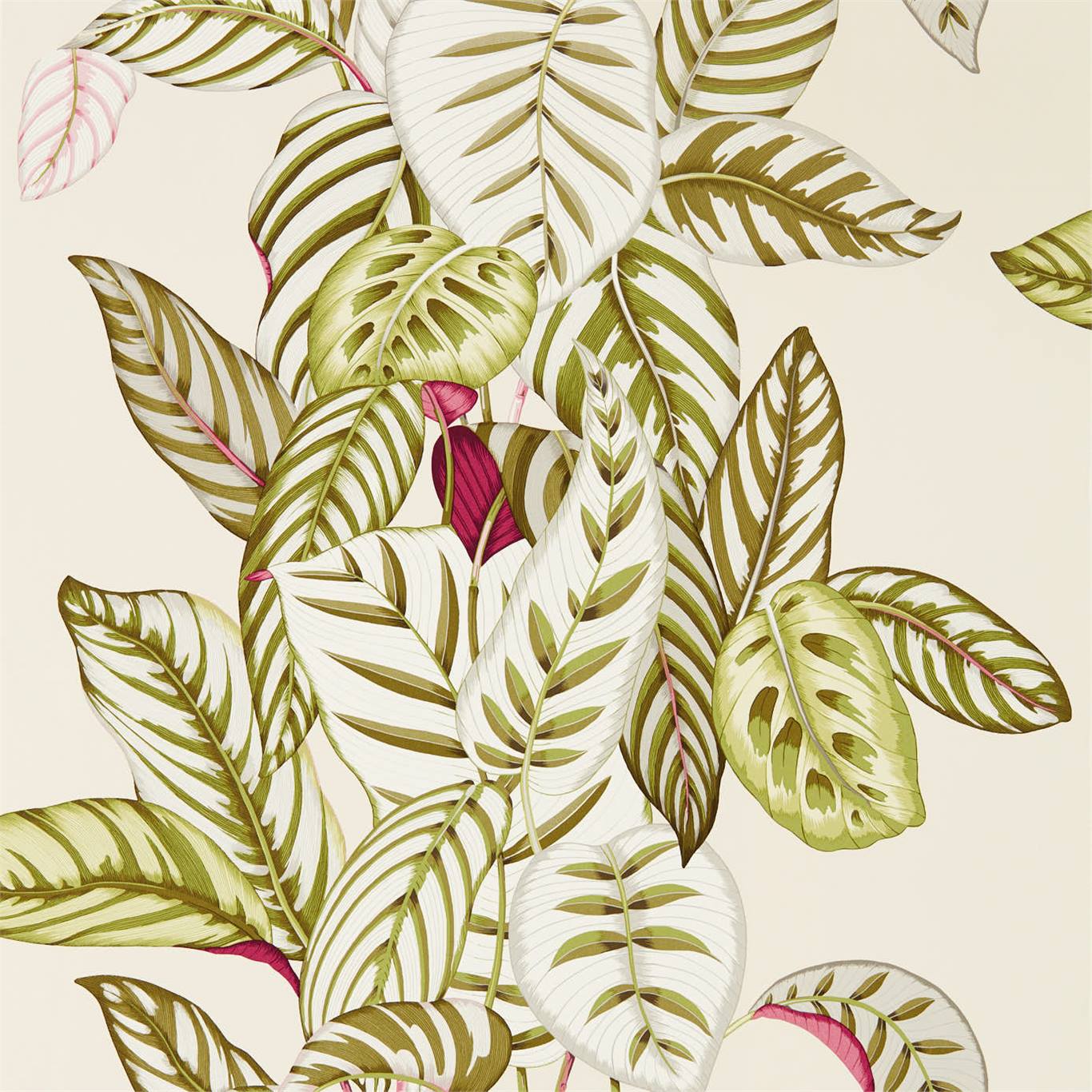 Обои Sanderson The Glasshouse Calathea 216631
